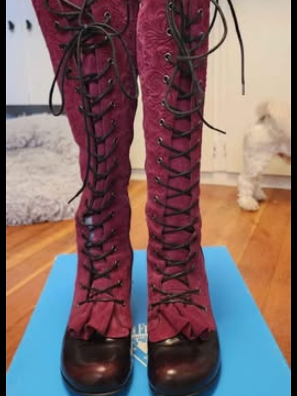 John Fluevog Burgundy Lace-Up Mid-Calf Boots with Black Accents - Picture 2 of 6